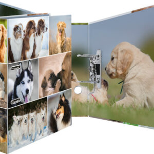 Ordner Hunde