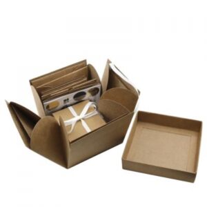 Explosionsbox kraft