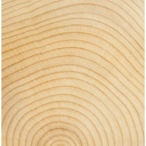 Holz Jahrringe Einzelblatt A4