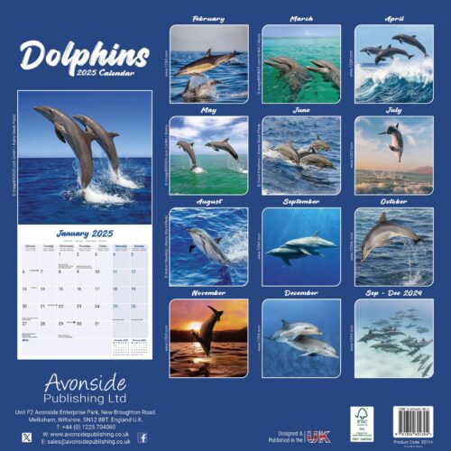 Dophins 16-Monatskalender – Bild 2