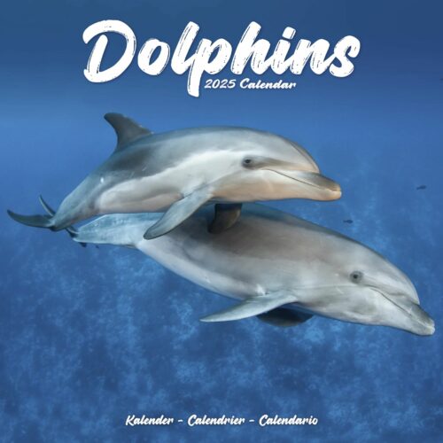 Dophins 16-Monatskalender