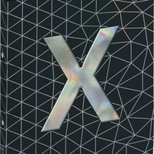 Ringbuch A4 X