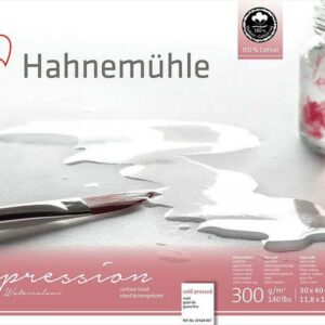 HAHNEMÜHLE Expession 24x30