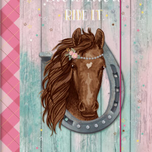Sammelmappe A3 Ponylove