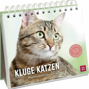 Kluge Katzen