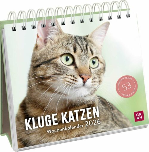 Kluge Katzen