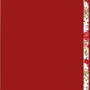 Notizbuch softcover rot A5