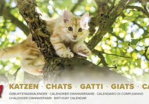 Geburtstagskalender Leporello Cats