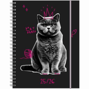 Touch weekly A6 Cat