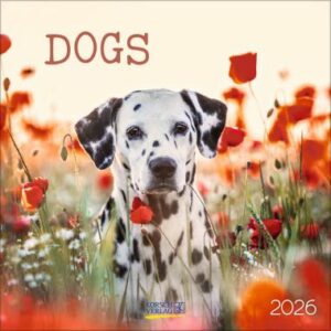Dogs (BK)