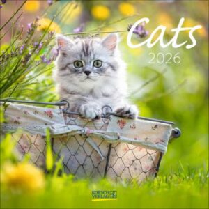 Cats (BK)