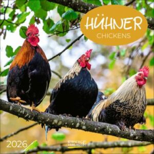 Hühner (BK)