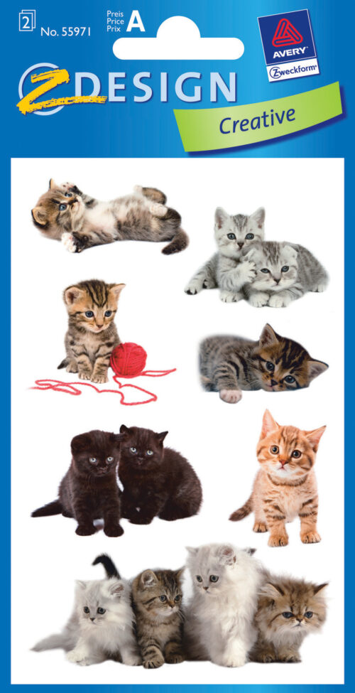 Katzen