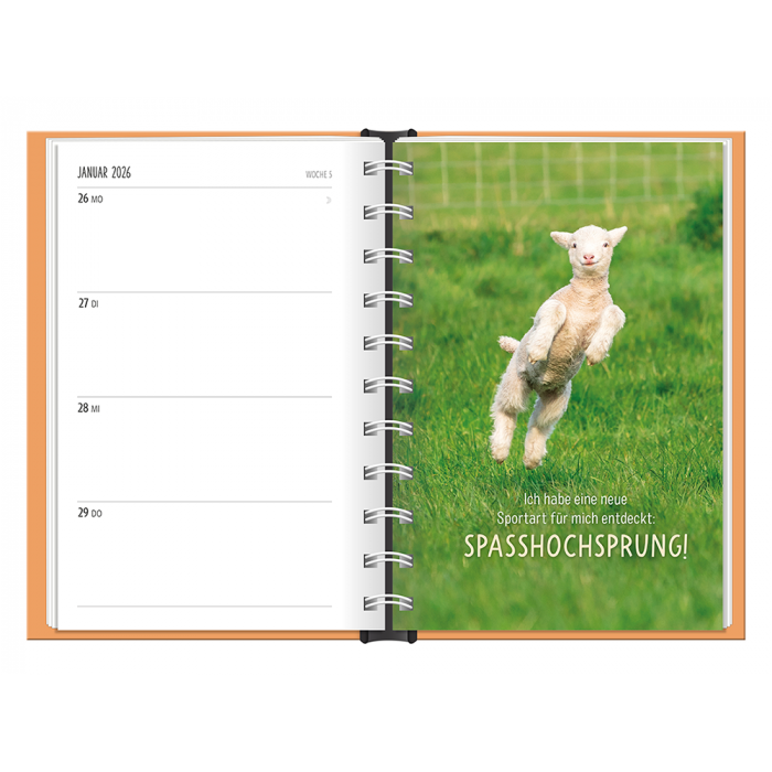 Terminplaner 2026 Happymacher – Bild 2