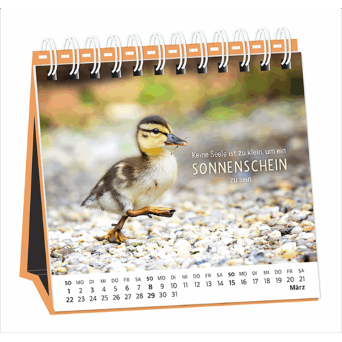 Tischkalender 2026 Happymacher – Bild 2