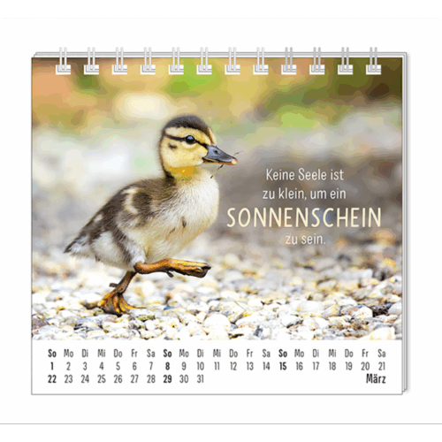 Mini-Kalender 2025 Happymacher – Bild 2