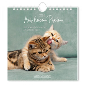 Postkartenkalender 2026 Auf leisen Pfoten