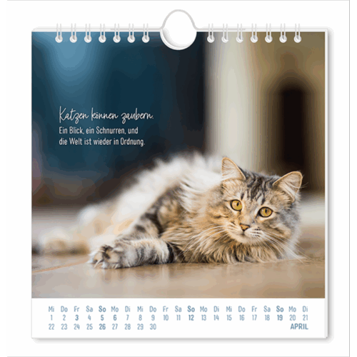 Postkartenkalender 2026 Auf leisen Pfoten – Bild 2