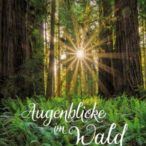 Augenblicke im Wald
