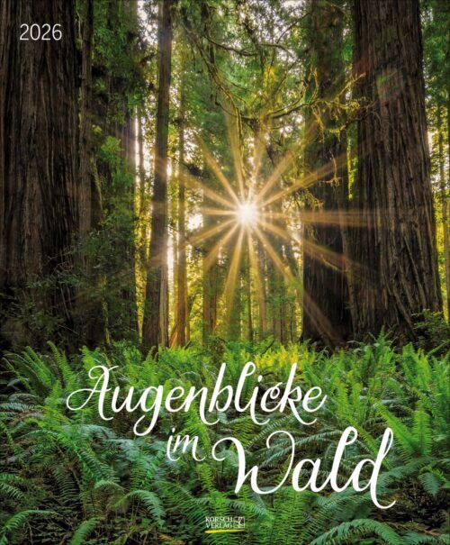 Augenblicke im Wald