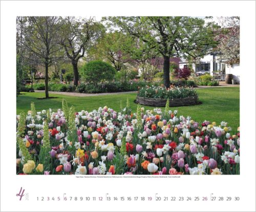 Gartenträume – Ursel Borstell – Bild 2
