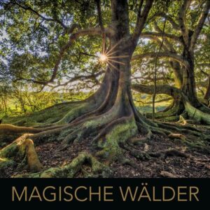 Magische Wälder