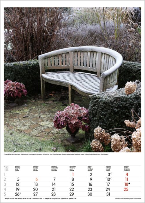 Gartenträume – Bild 2