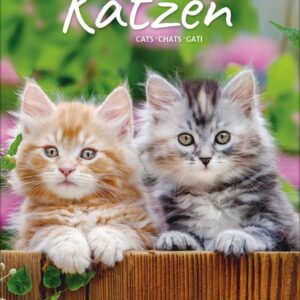 Gr. farbiger Katzenkalender