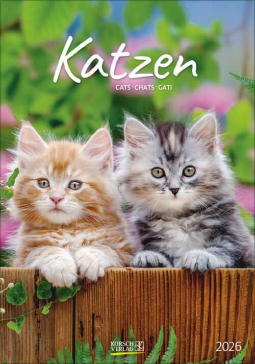 Gr. farbiger Katzenkalender