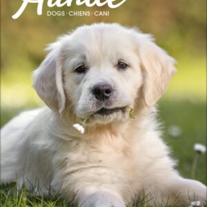 Gr. farbiger Hundekalender