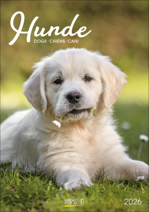 Gr. farbiger Hundekalender