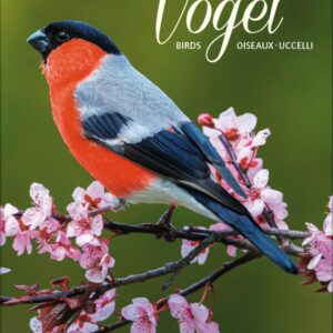 Gr. farbiger Vogelkalender