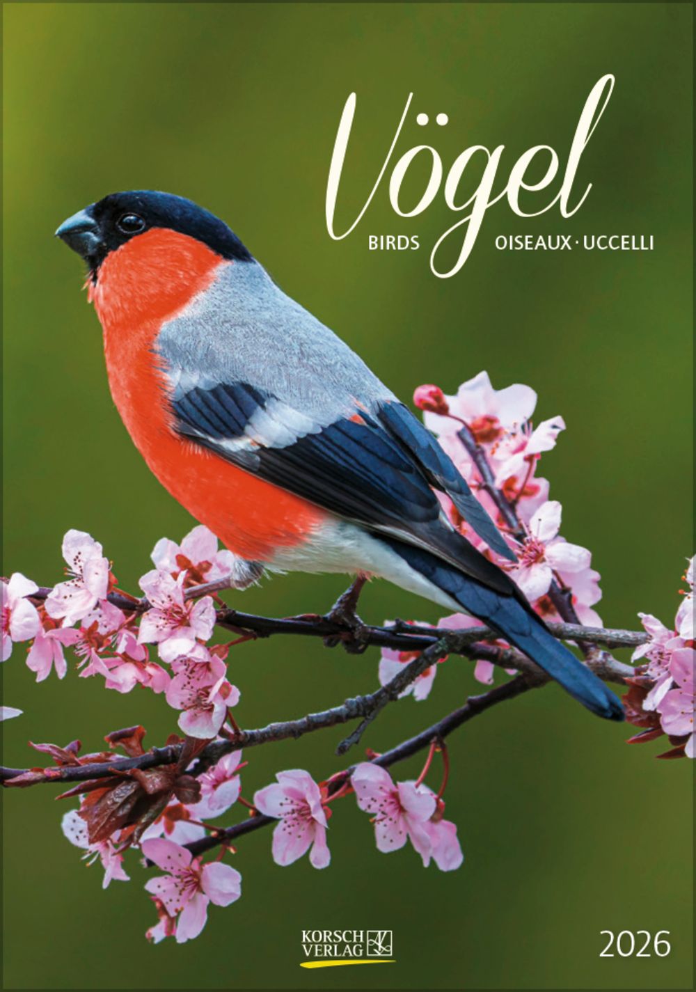 Gr. farbiger Vogelkalender