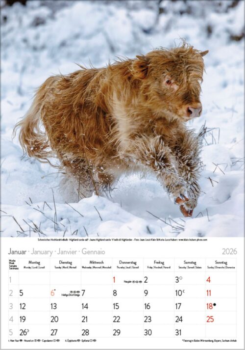 Tierkinder – Bild 2