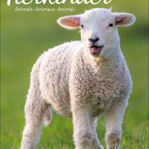 Tierkinder