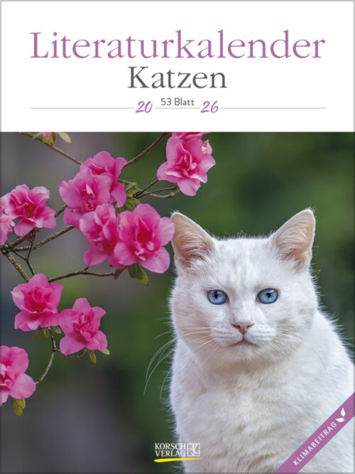 Katzen