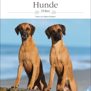 Hunde