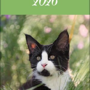 Katzen Langplaner