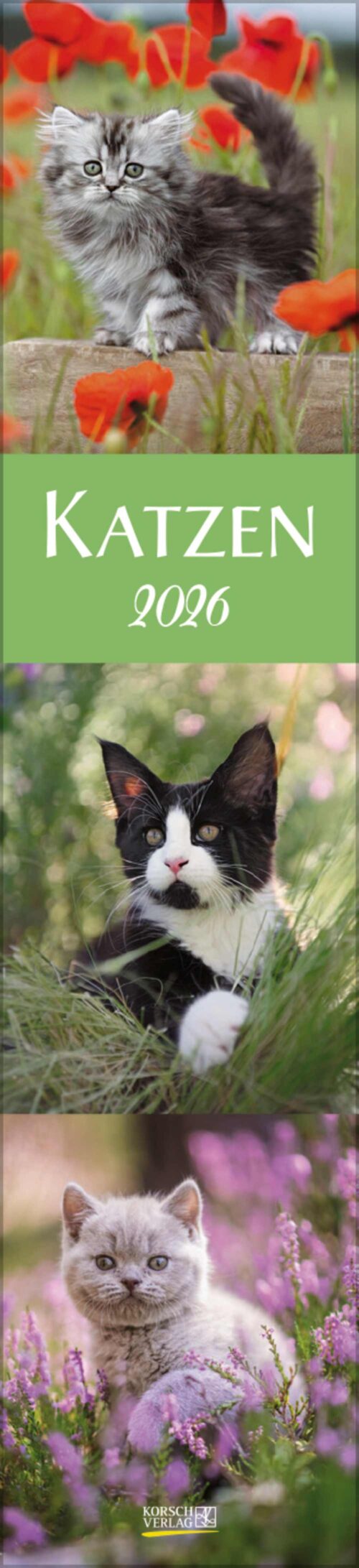 Katzen Langplaner