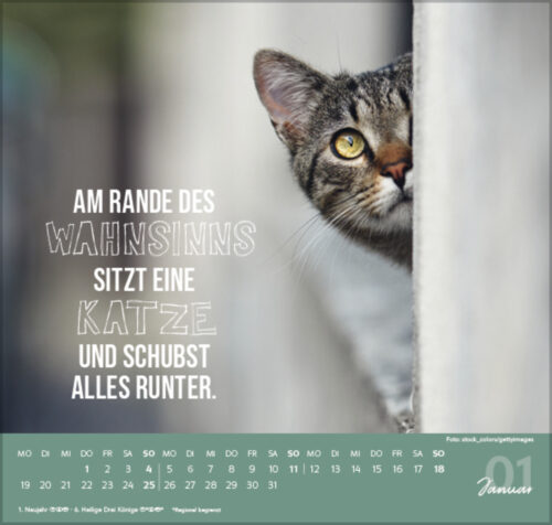 Live, love, Meow – Bild 2