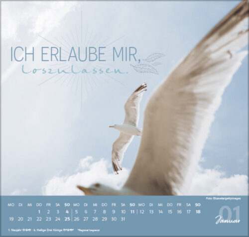 Meine Träume werden wahr – Bild 2
