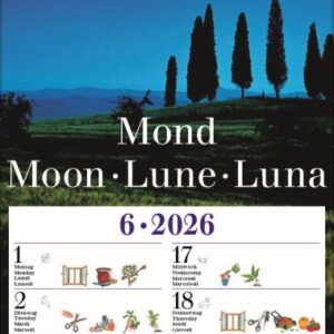 Mond Visuell