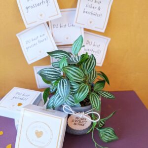 Love Letters deutsch