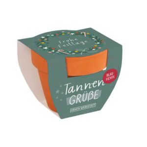 Tannengrüsse Weihnachten