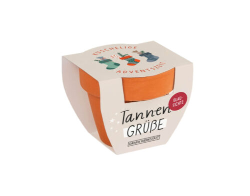 Tannengrüsse Weihnachten