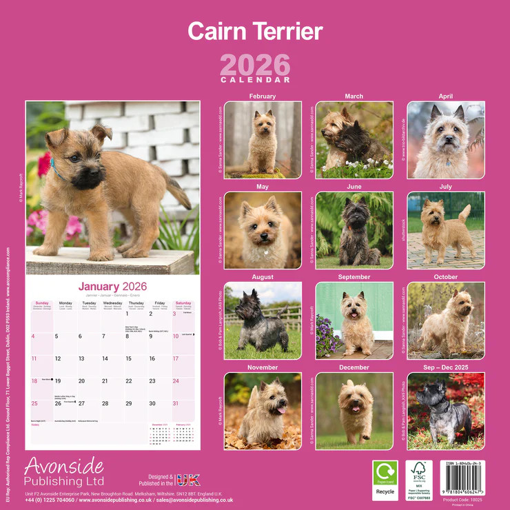 Cairn Terrier 16-Monatskalender – Bild 2