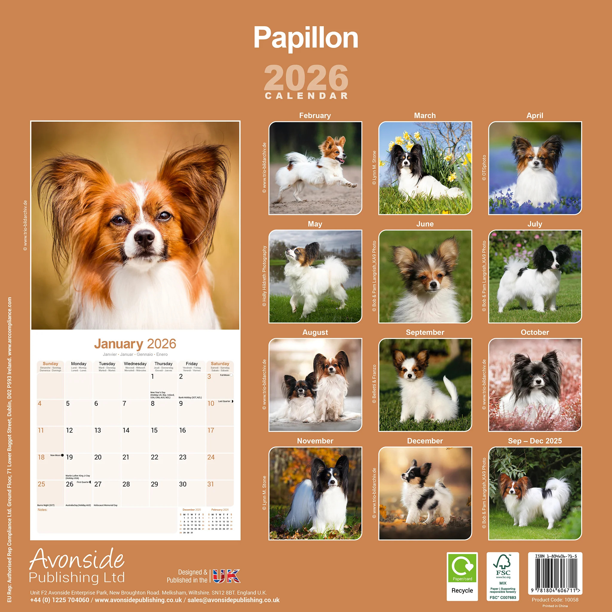 Papillon 16-Monatskalender – Bild 2