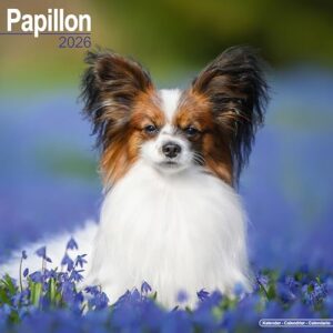 Papillon 16-Monatskalender