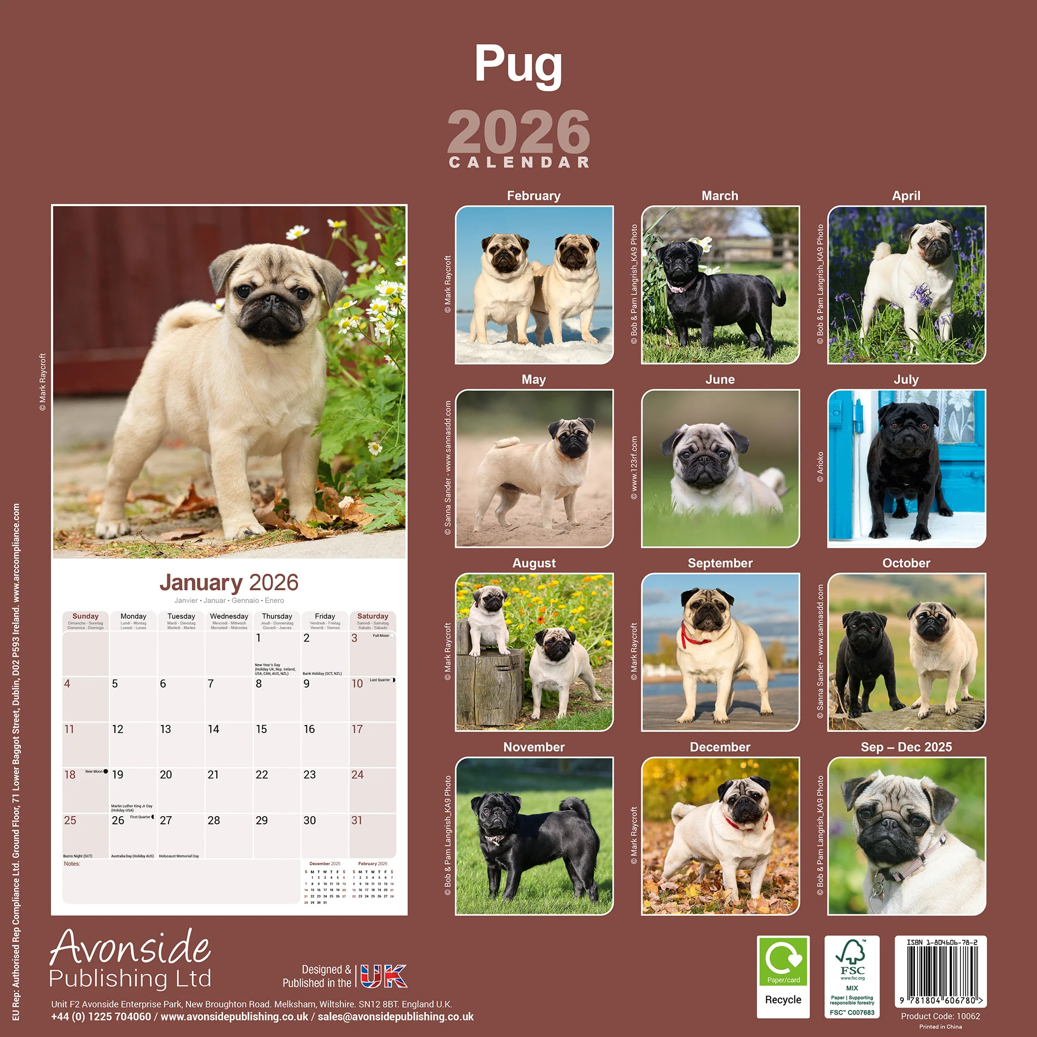 Pug 16-Monatskalender – Bild 2