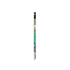 Bleistift van goh's Irises